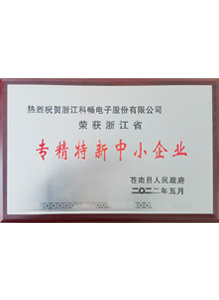 專(zhuān)精特新中小企業(yè)